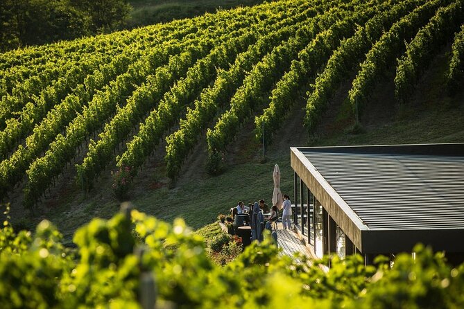 Private Tasting Expedition Along Romania’s Most Famous Wine Route - Leaving Bucharest at 9:00 am