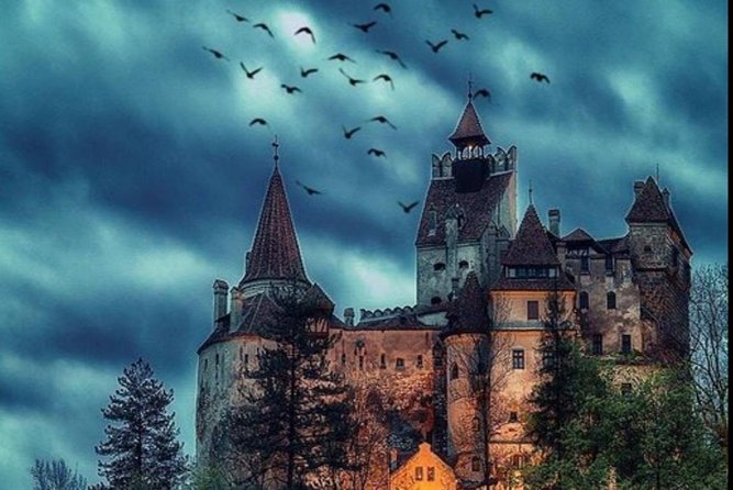 Private tour to Bran Dracula's Castle and Peleș Royal Castle - Who should book this private castle tour