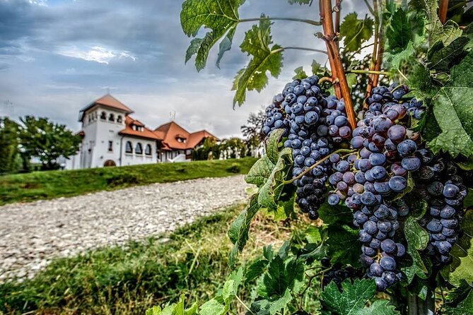 Private Tour to Salt Mine, Lunch at Winery and Dracula Grave - The private guide can make or break the day