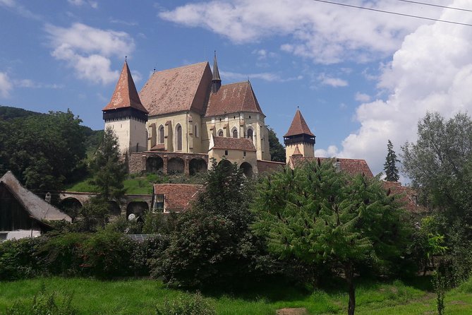 Private Tour : Transylvania from Bucharest 3 Days - Day three: bears, fortress ruins, and Snagov