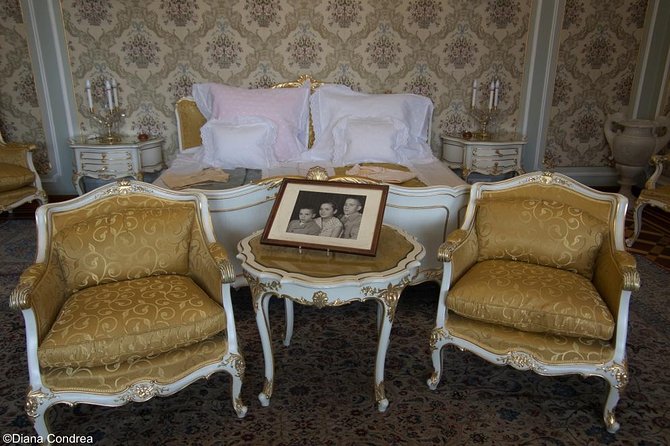 Private Walking Tour of Communist Bucharest - Ceausescu’s Mansion Shows Power at Home