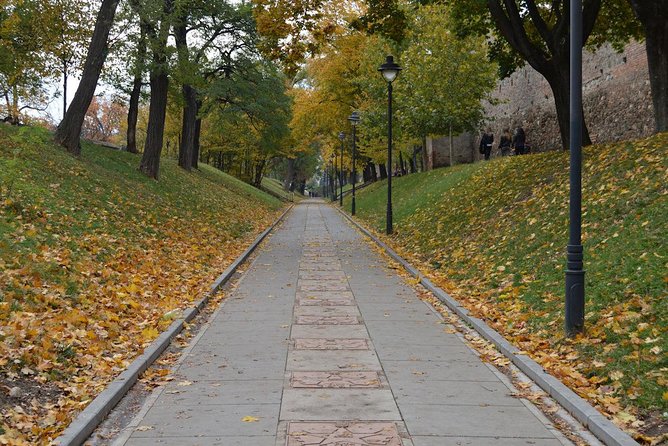 Private Walking Tour of Sibiu - Piata Mare and Sibiu’s public life