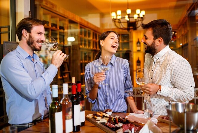 Private Wine Tasting in Cellar and the Winemaking process - Who should book this Romanian wine experience