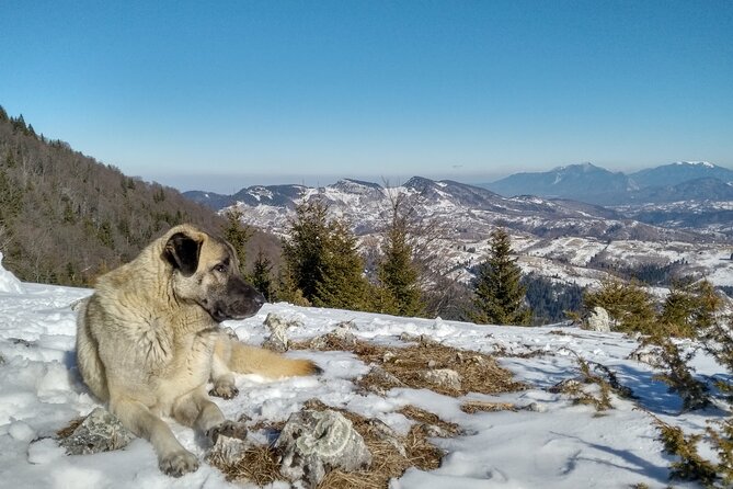 Rambling in Transylvania - A local guesthouse lunch after the walk