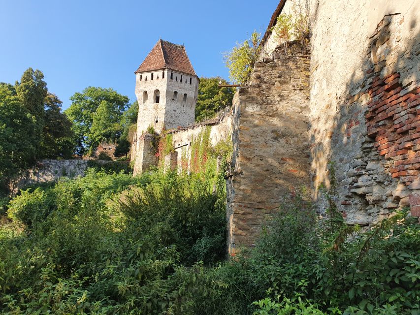 Real Dracula Princely Court and Real Dracula's Fortress - Poenari Castle and the 1,480-step test
