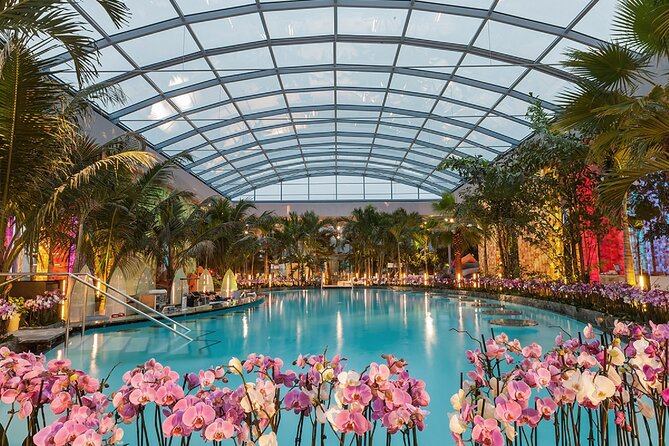Relax and Fun at Thermal Spa Bucharest (Admission Ticket) - Key details before you book