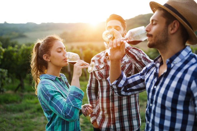 Romanian Wine Tasting - LacertA Winery: start with how wine is made
