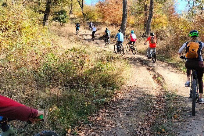 Sambata de Sus: E-Bike Guided Tours - Key things to know before you book