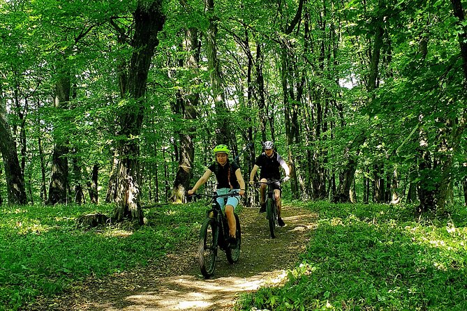 Sambata de Sus: E-Bike Guided Tours - Starting in Sâmbăta de Sus at 10:00 am