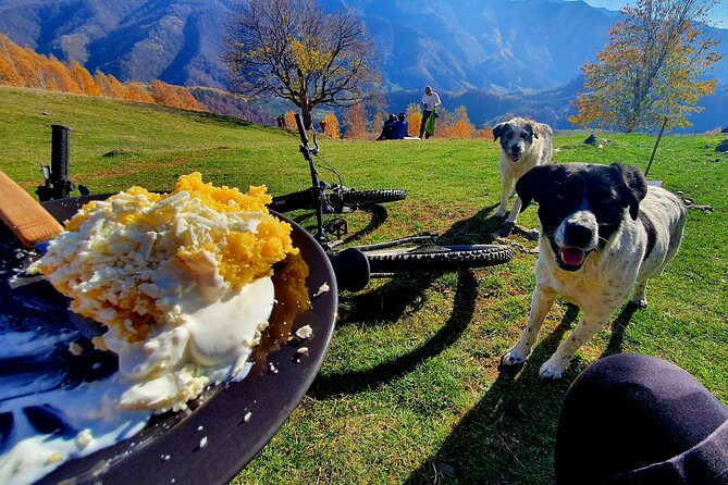 Sambata de Sus: E-Bike Guided Tours - Brâncoveanu Monastery, a quiet change of pace