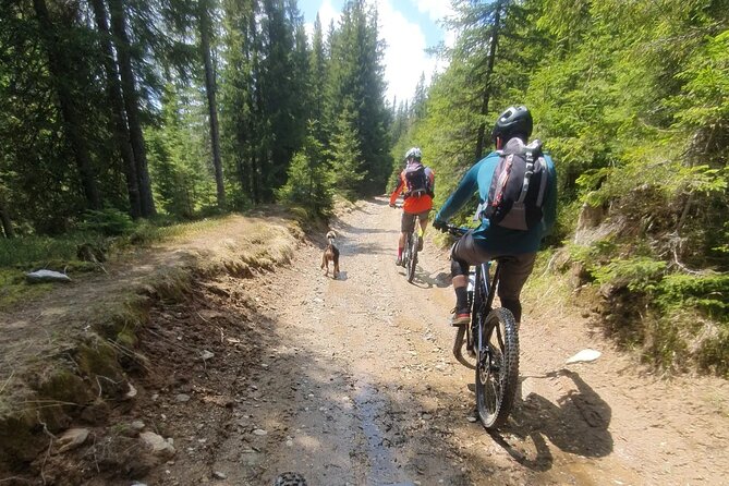 Sambata de Sus: E-Bike Guided Tours - Booking, cancellation, and weather notes