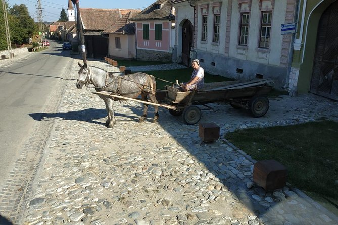 Saxon Heritage in Transylvania: Day Trip from Cluj-Napoca - The Zosim Oancea Museum of Icons on Glass