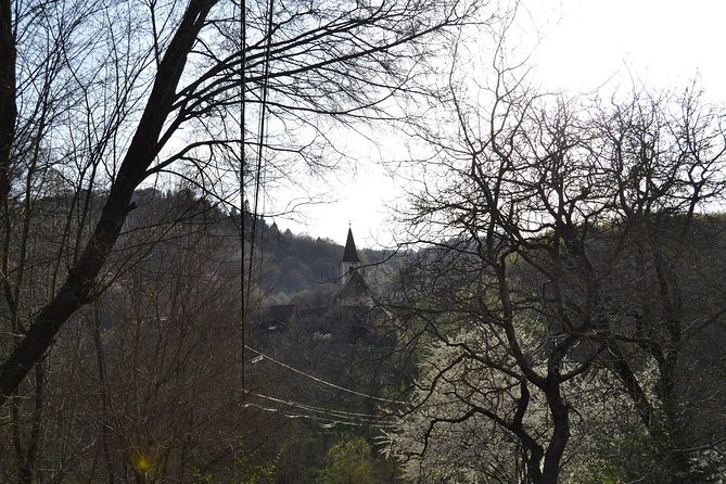 Saxon Heritage in Transylvania: Day Trip from Cluj-Napoca - Should you book Saxon Heritage in Transylvania?