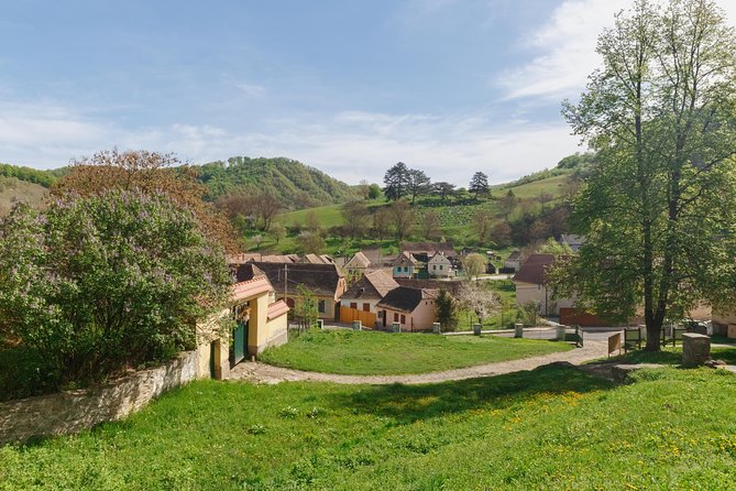 Saxon Secrets: The Malancrav & Biertan Experience - The bus ride is part of the experience