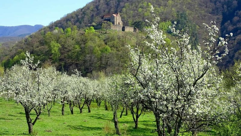 SB13 - Sibiu: Private Day Trip to Transylvanian Villages - Sibiel and its painted-glass icons