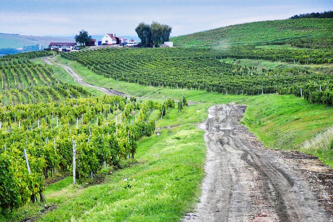 Sibiu and wine tasting, day tour from Cluj - Key points to know before booking