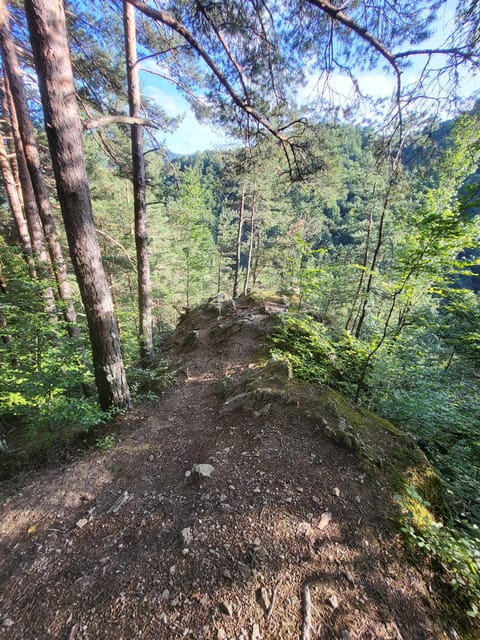 Sibiu: Cindrel Mountains Hike with Traditional Brunch - Key points to know before you go