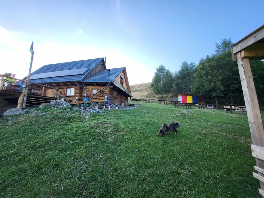 Sibiu: Cindrel Mountains Hike with Traditional Brunch - Reaching MGS Cabin for a Transylvanian brunch