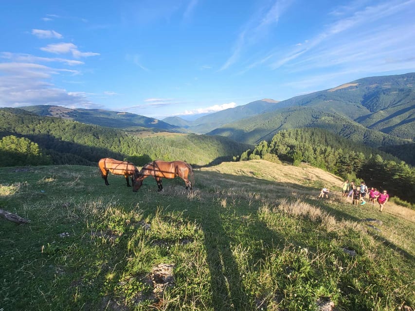 Sibiu: Cindrel Mountains Hike with Traditional Brunch - Practical packing advice for the 5.5-hour day
