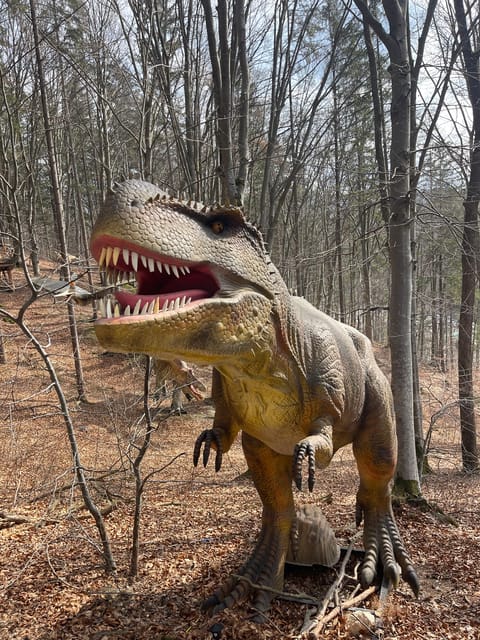 Sibiu: Dracula's Castle and Dino Park Day Trip - Dino Park Rasnov: a better fit for families