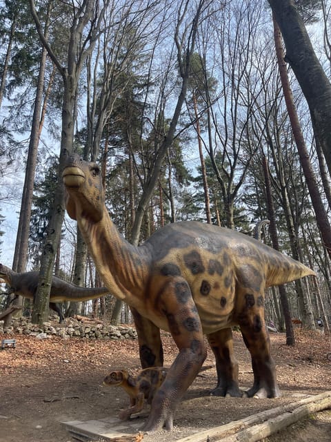 Sibiu: Dracula's Castle and Dino Park Day Trip - Who will enjoy this day most?