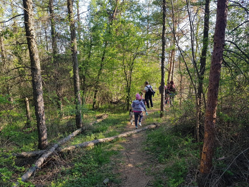 Sibiu panorama by evening, tour of Gusterita Hill - Key points to know before you go