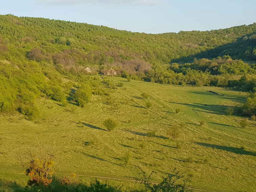 Sibiu panorama by evening, tour of Gusterita Hill - The first section: quiet paths through the woods