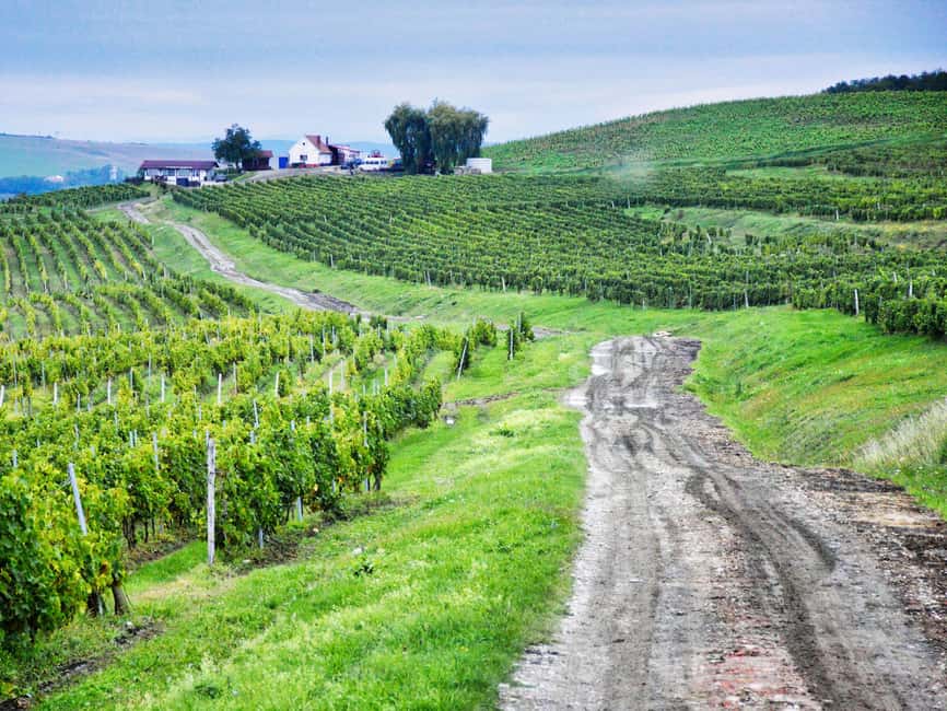 Sibiu, UNESCO & wine tasting tour (from Cluj) - Why this route is more than a Sibiu day trip