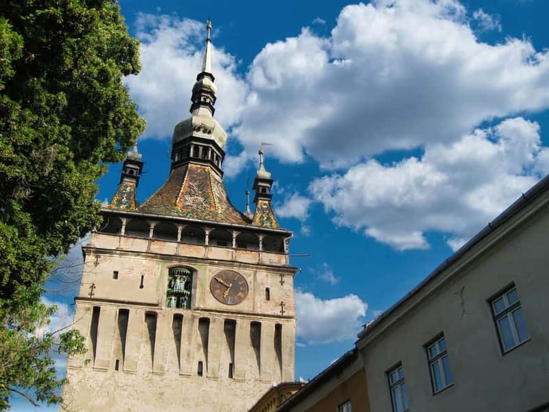 Sighisoara & wine tasting (from Cluj) - Key things to know before booking