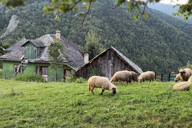 Slanic Salt Mines & Village Charms: Bucharest Day Escape - Slanic village and local traditions