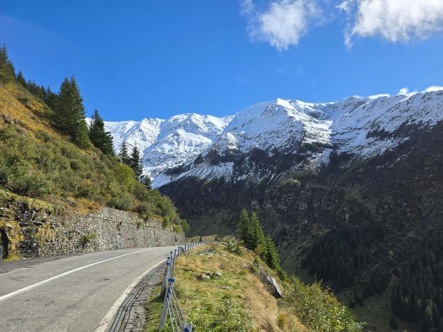 Small group Bears 'Safari' on Transfăgărășan -max 7 tourists - Price, food, and practical value