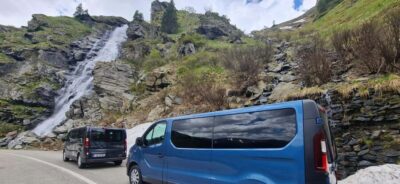 Small group Bears ‘Safari’ on Transfăgărășan -max 7 tourists