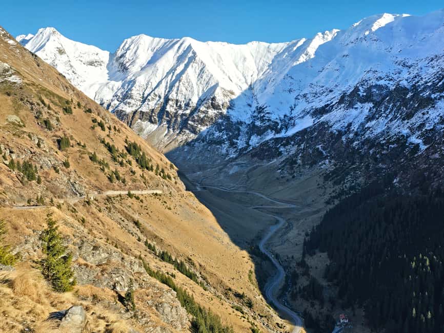Small group Bears 'Safari' on Transfăgărășan -max 7 tourists - Bear watching along the mountain road