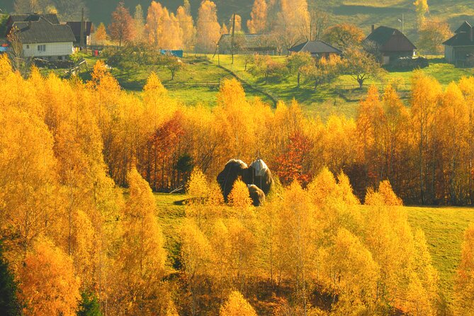 Small-Group Day Trip in Romanian Authentic Mountain Villages from Brasov - Lilicilor Cave and the bats in the dark