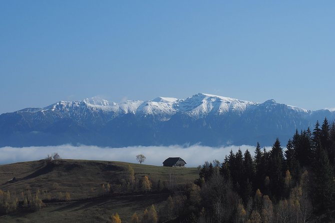 Small-Group Day Trip in Romanian Authentic Mountain Villages from Brasov - Măgura, where the road gives way to footpaths