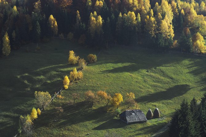 Small-Group Day Trip in Romanian Authentic Mountain Villages from Brasov - Piatra Craiului’s forests, gorges, and open views