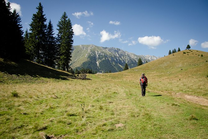 Small-Group Day Trip in Romanian Authentic Mountain Villages from Brasov - Peștera and a traditional guesthouse lunch