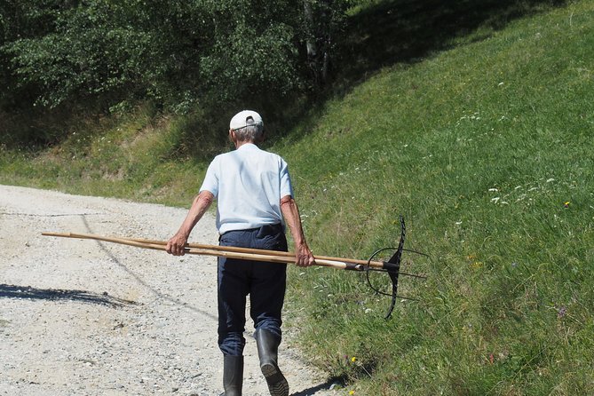 Small-Group Day Trip in Romanian Authentic Mountain Villages from Brasov - Bran Castle and the first taste of Transylvania