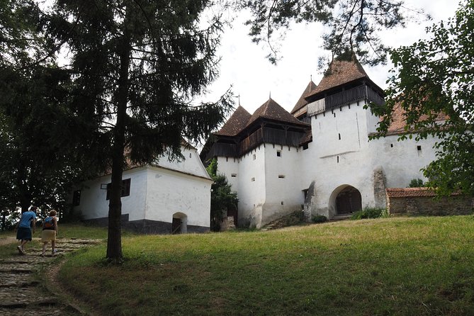 Small Group Tour to Viscri Church Sighisoara Town Rupea Fortress - Rupea Fortress above the countryside