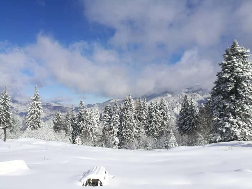 Snowmobile, ATV or Buggy Tour from Bucharest - From Bucharest to the Carpathian Mountains