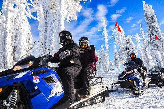 Snowmobiles, Sky Lift & Winter Sports - Private Tour - Riding a snowmobile through the forest