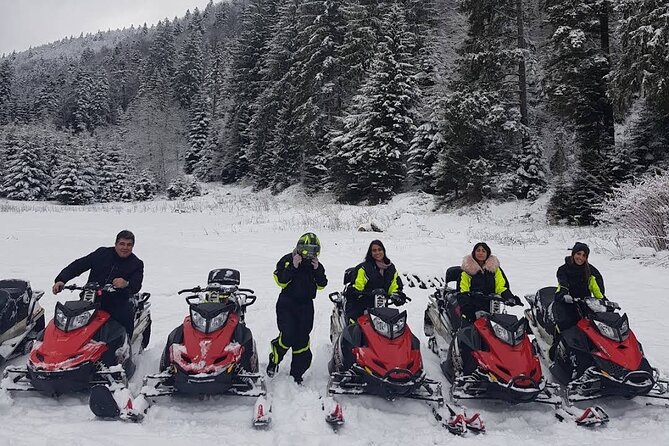 Snowmobiles, Sky Lift & Winter Sports - Private Tour - Forest scenery and mountain air