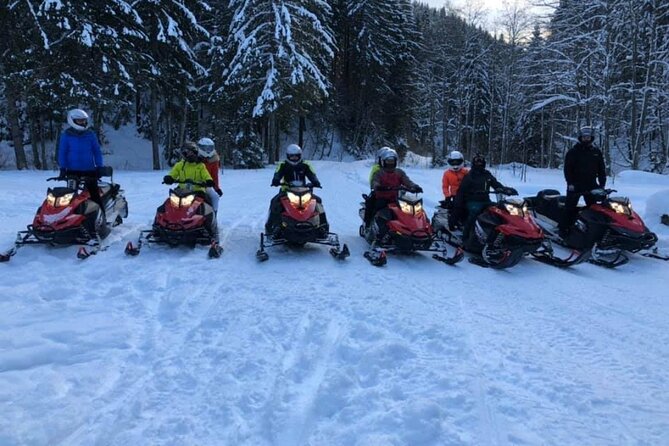 Snowmobiles, Sky Lift & Winter Sports - Private Tour - The guide makes the long day easier