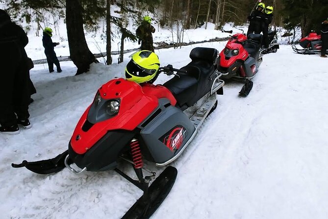Snowmobiles, Sky Lift & Winter Sports - Private Tour - What the $155.33 price really covers