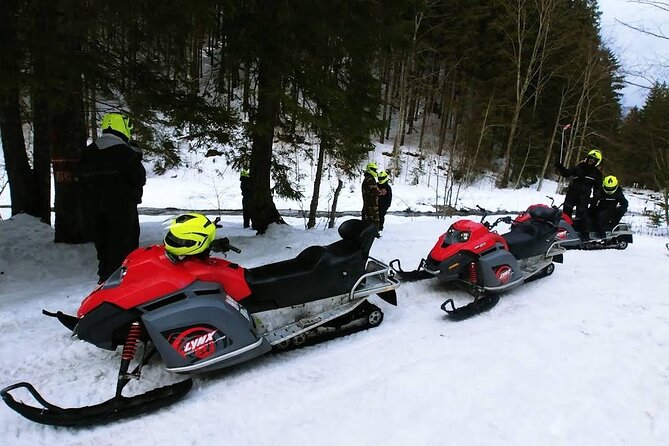 Snowmobiles, Sky Lift & Winter Sports - Private Tour - Who will enjoy this Bucharest day trip?