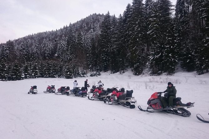 SnowMobiles Tour in Carpathian Mountains - Who will enjoy this Carpathian day trip?