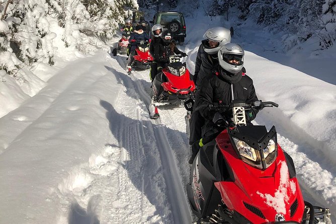 SnowMobiles Tour in Carpathian Mountains - Peles Castle brings Transylvania into focus
