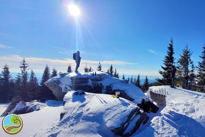 Snowshoeing Fun Tour from Cluj Napoca - Starting at 8:00 am in Cluj-Napoca
