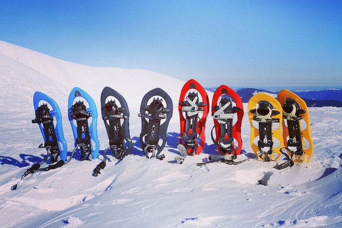 Snowshoeing Fun Tour from Cluj Napoca - Learning about Carpathian winter ecology