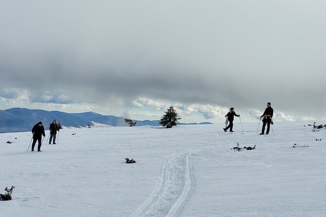 Snowshoeing Fun Tour from Cluj Napoca - Viewpoints, hot drinks, and quiet snow